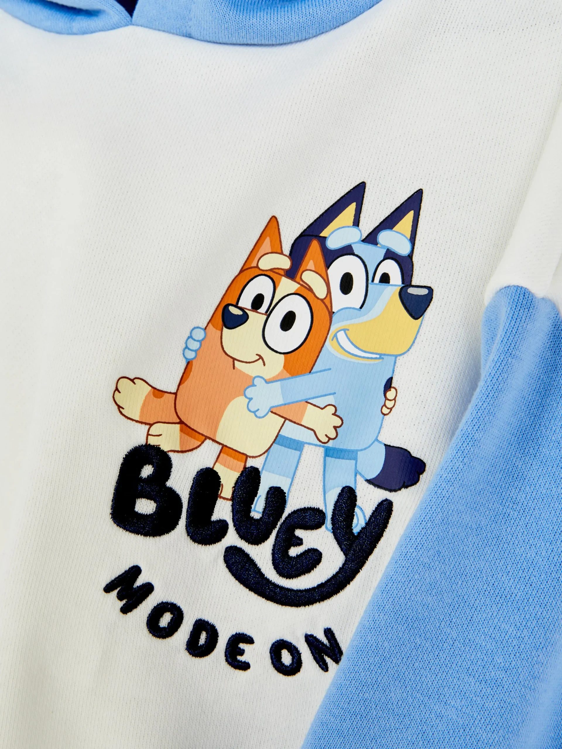 Color Block Hoodie Bluey