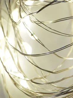 Firefly Ledlichtsnoer