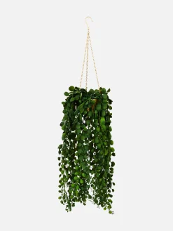Hangende Imitatievetplant In Pot