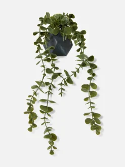 Hangende Imitatievetplant In Geometrische Pot