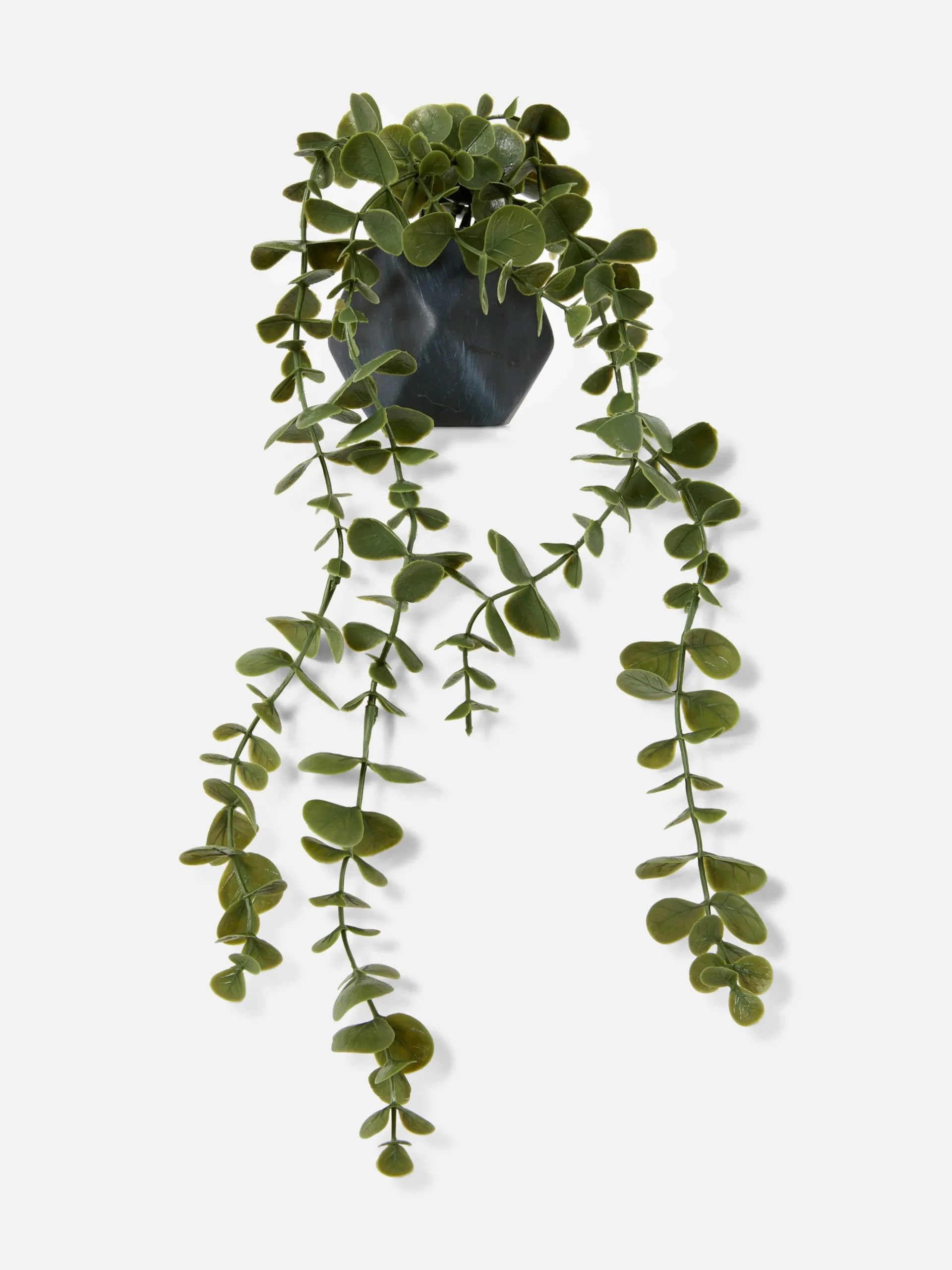 Hangende Imitatievetplant In Geometrische Pot