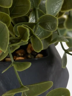 Hangende Imitatievetplant In Geometrische Pot