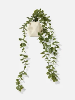 Hangende Imitatievetplant In Geometrische Pot