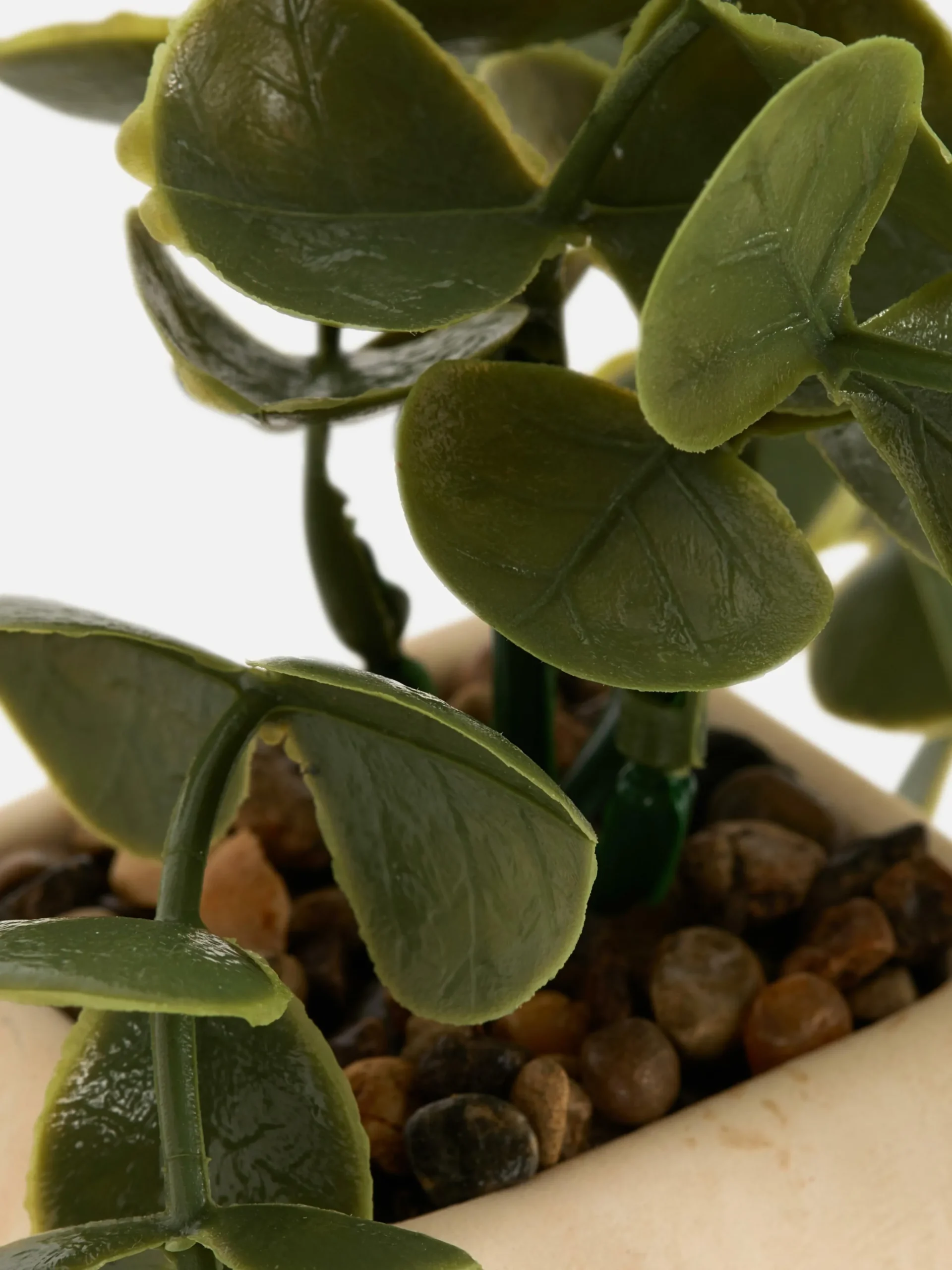 Hangende Imitatievetplant In Geometrische Pot