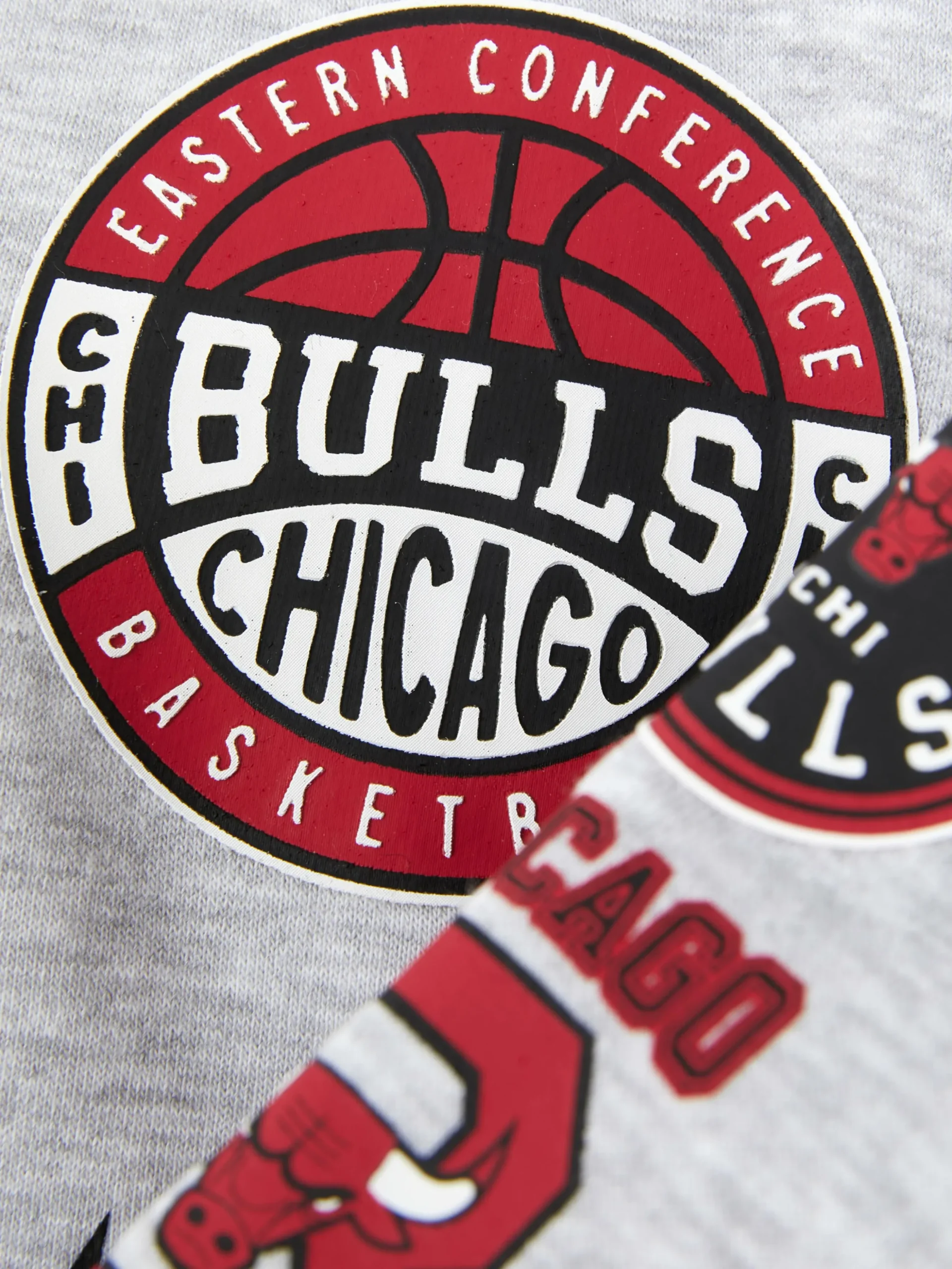 Hoodie Met Print NBA Chicago Bulls