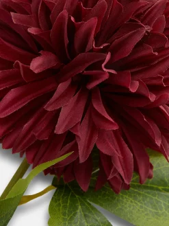 Imitatiechrysant, Enkele Steel