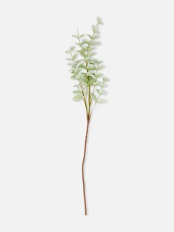 Imitatie-eucalyptustak Met Enkele Steel