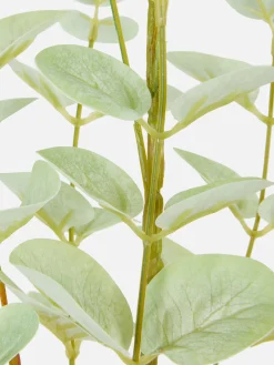Imitatie-eucalyptustak Met Enkele Steel