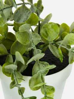 Imitatiehangplant In Pot