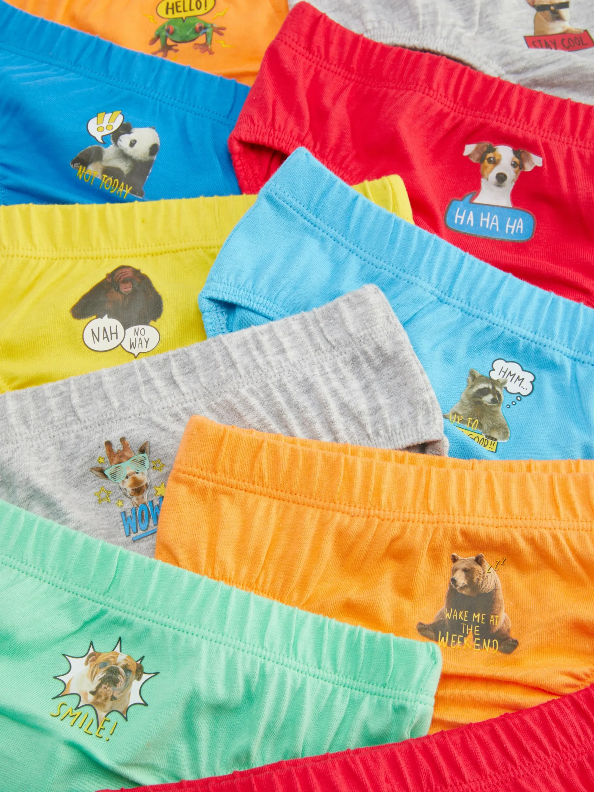 Slips Met Dierenprint, Set Van 10