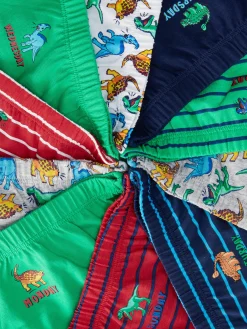 Slips Met Dinosaurusprint, Set Van 10