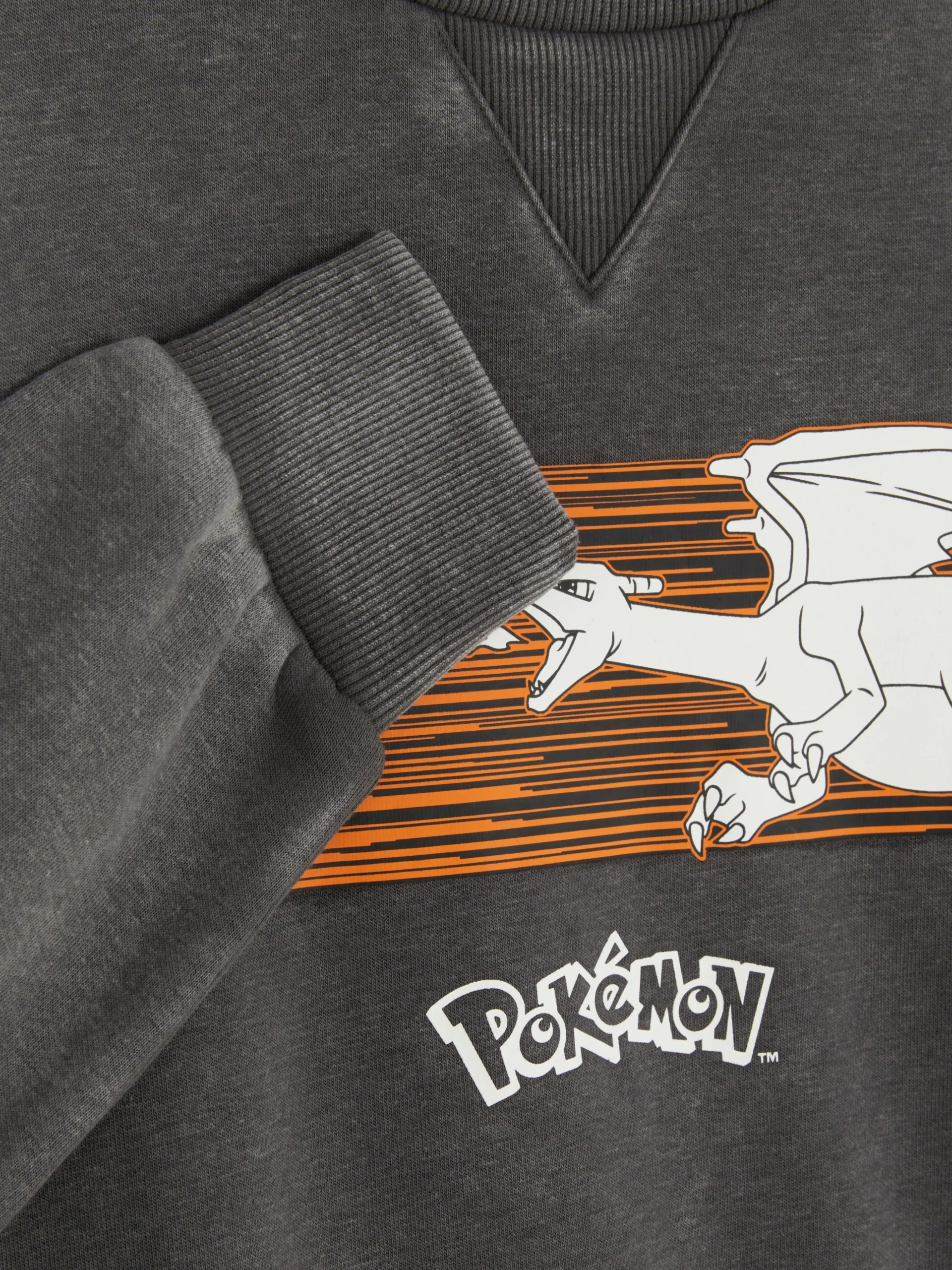 Sweatshirt Met Pokémon-print