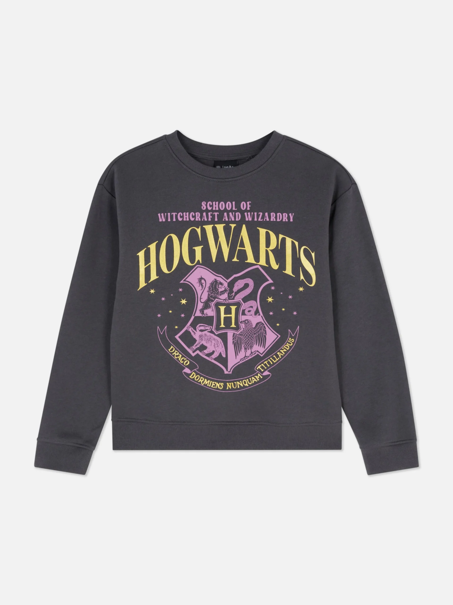 Sweatshirt Met Ronde Hals Harry Potter™ Zweinstein