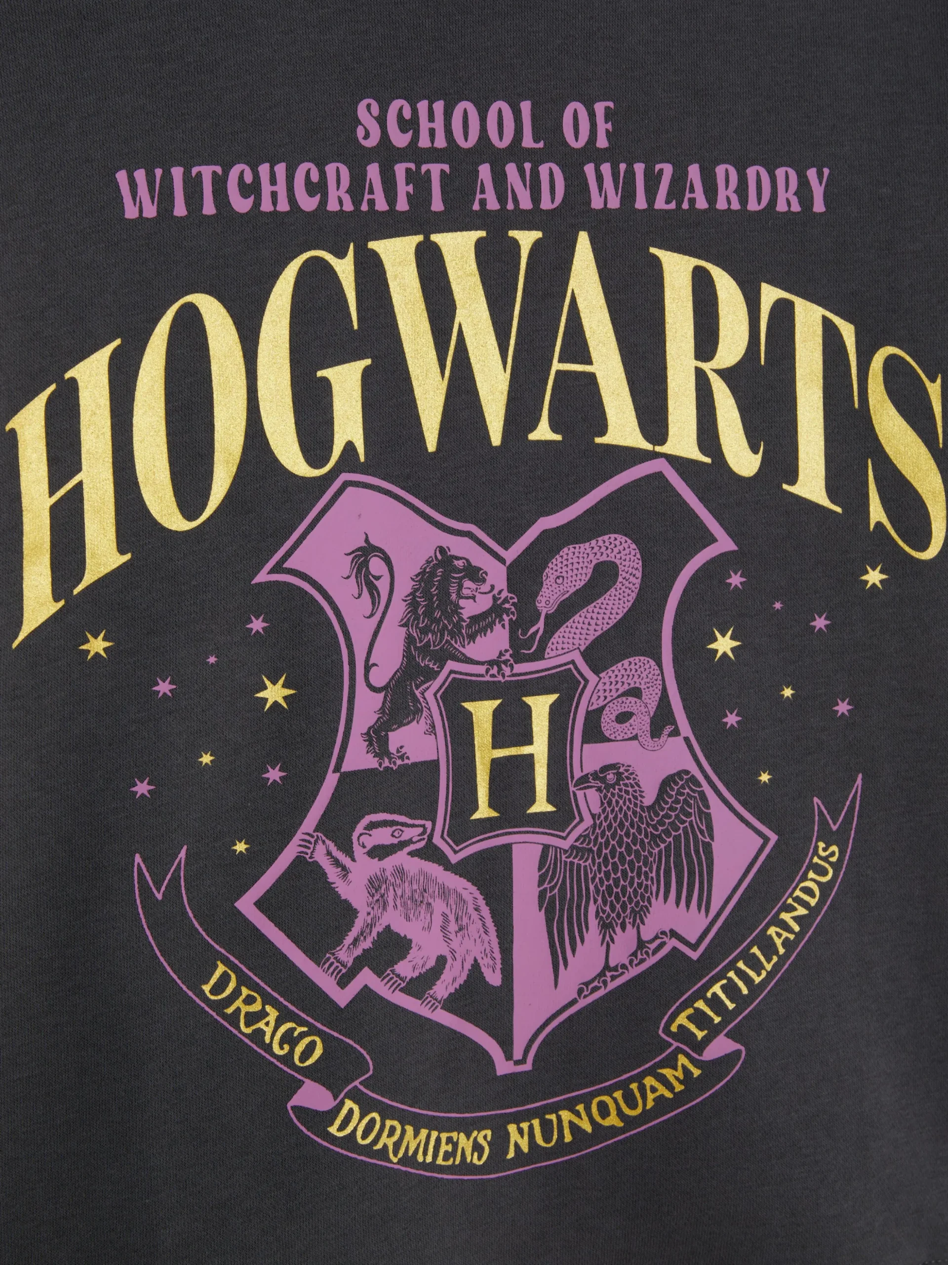 Sweatshirt Met Ronde Hals Harry Potter™ Zweinstein