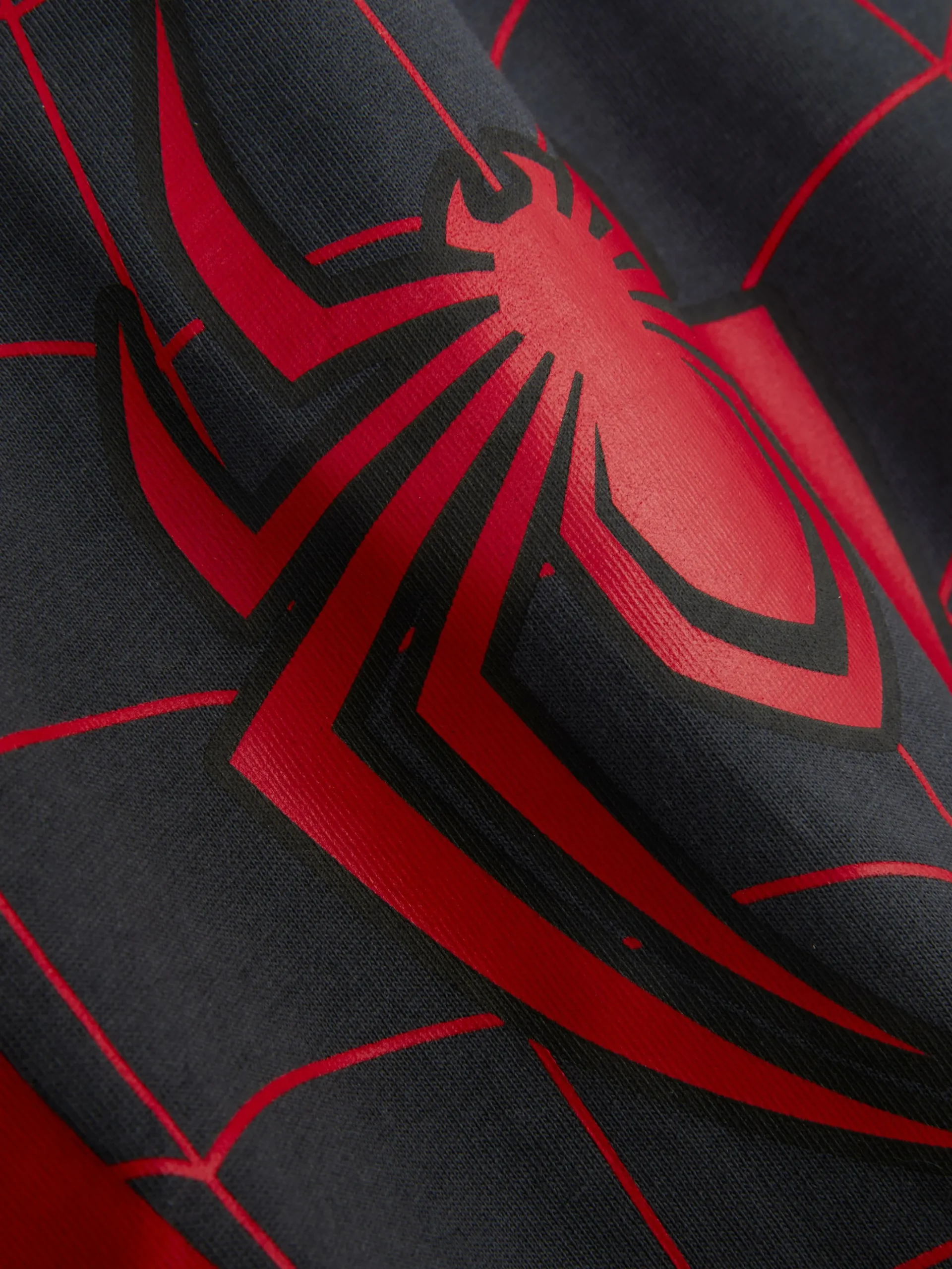 T-shirt Marvel Spider-Man Web