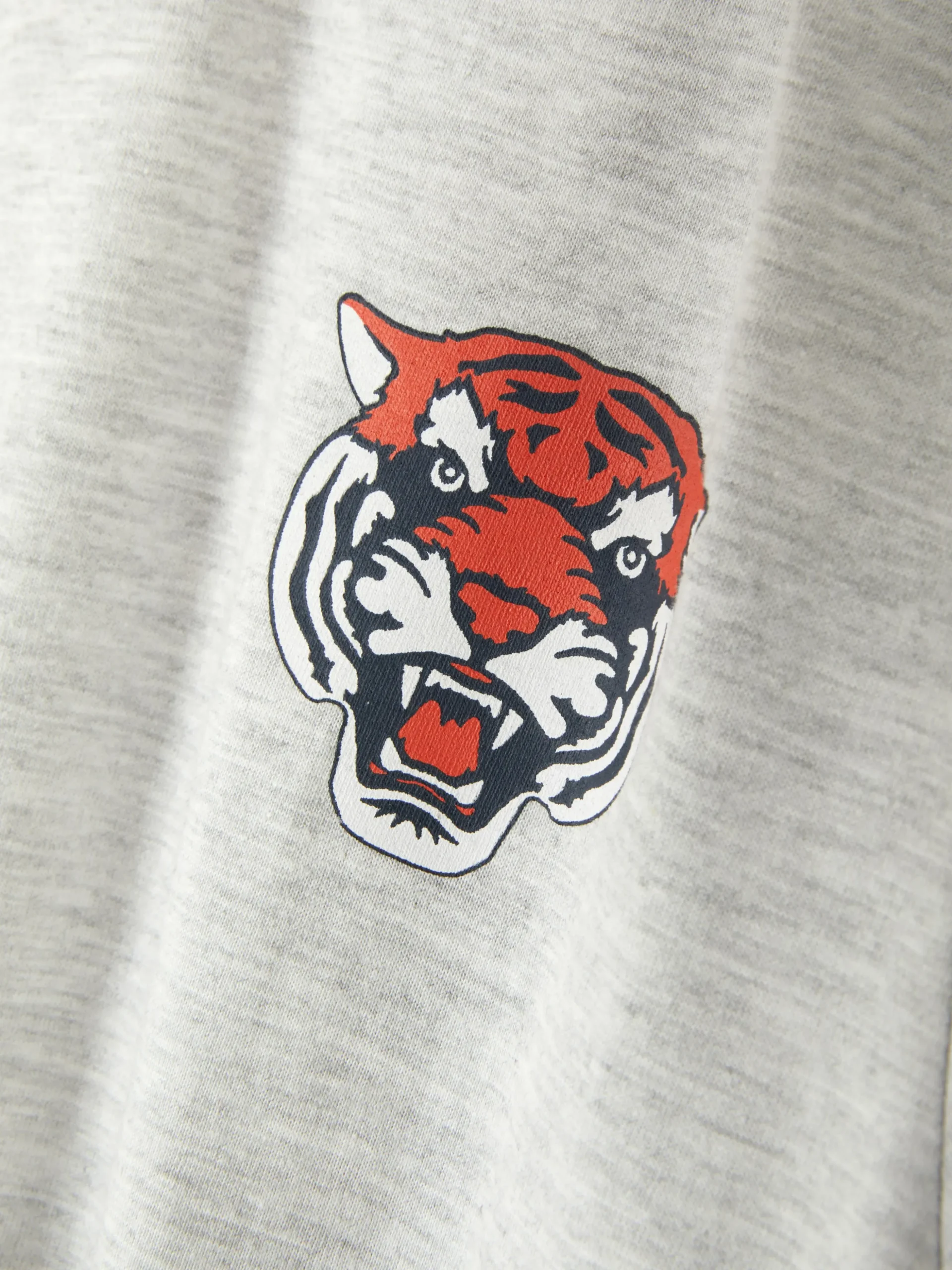 T-shirt Met Korte Mouwen En Print